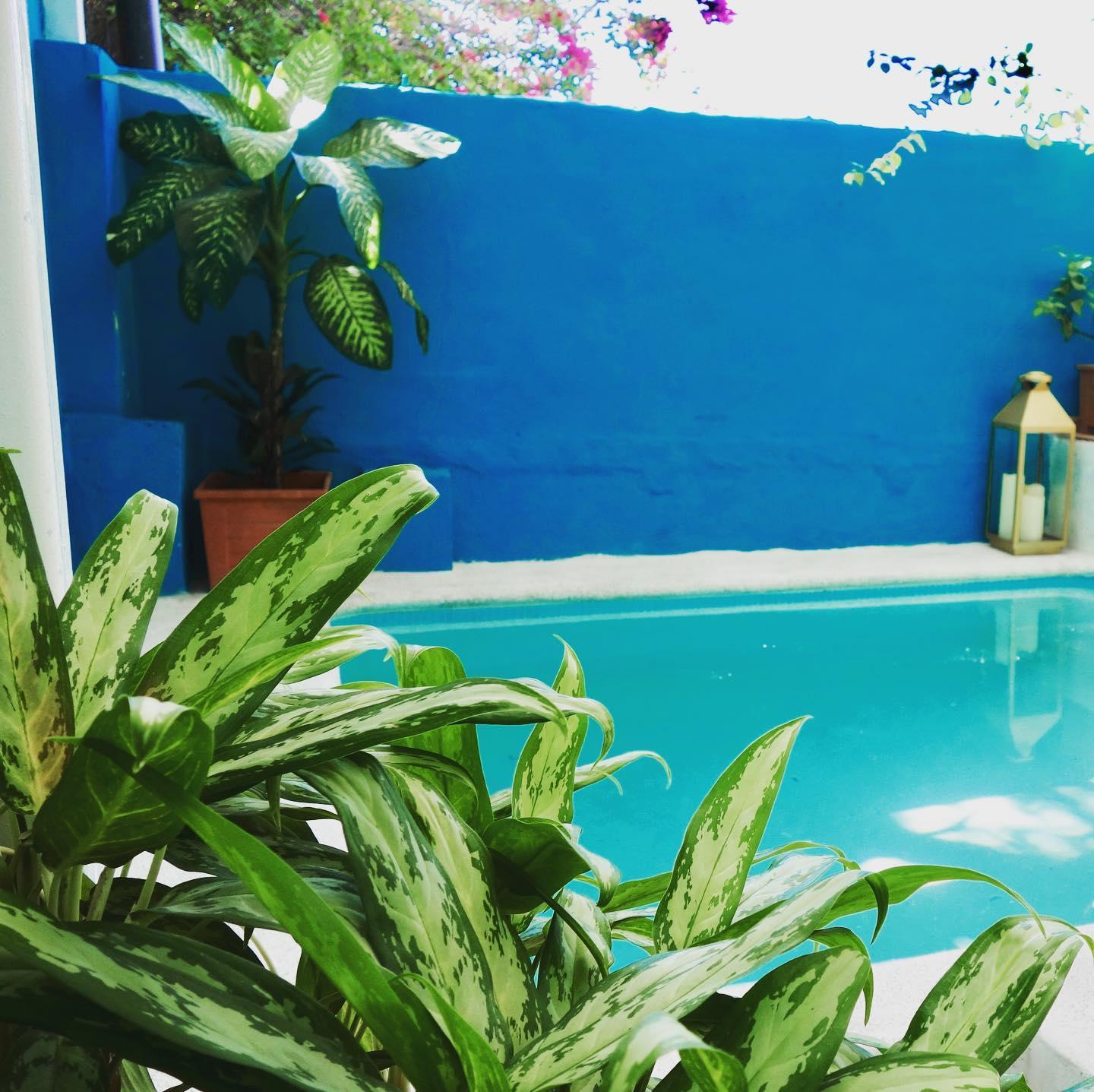 Morrison Hotel San Salvador Dış mekan fotoğraf